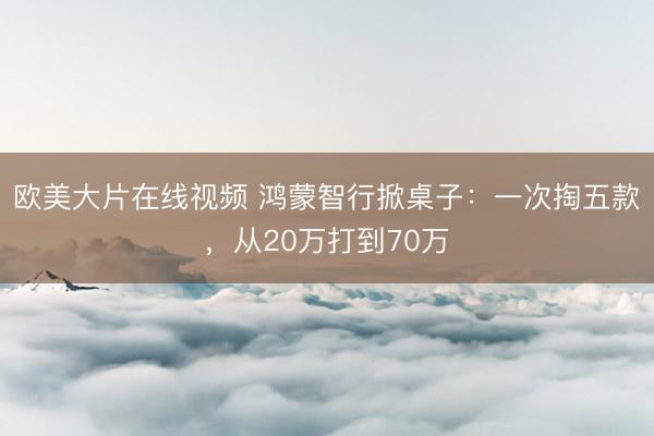 欧美大片在线视频 鸿蒙智行掀桌子：一次掏五款，从20万打到70万