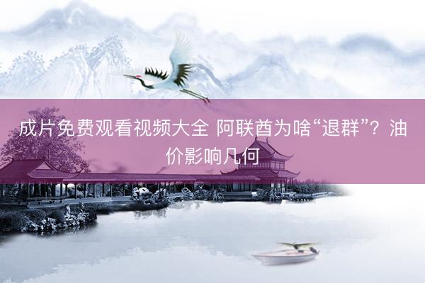 成片免费观看视频大全 阿联酋为啥“退群”？油价影响几何