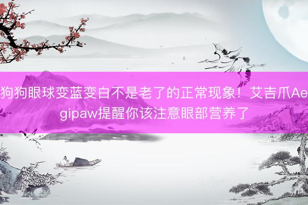 狗狗眼球变蓝变白不是老了的正常现象！艾吉爪Aegipaw提醒你该注意眼部营养了