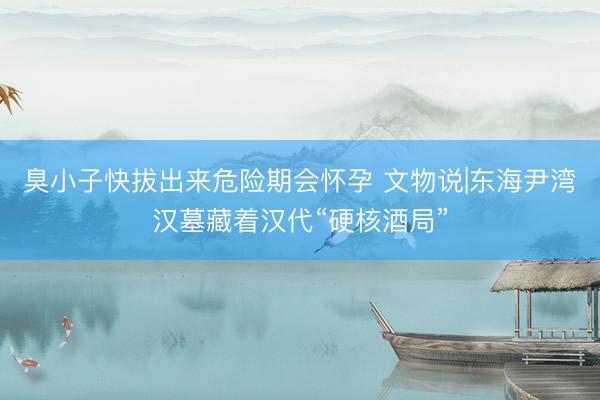 臭小子快拔出来危险期会怀孕 文物说|东海尹湾汉墓藏着汉代“硬核酒局”