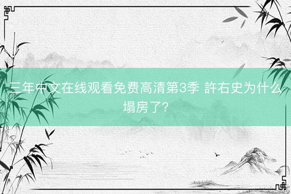 三年中文在线观看免费高清第3季 許右史为什么塌房了？