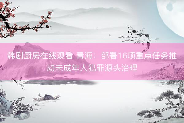 韩剧厨房在线观看 青海：部署16项重点任务推动未成年人犯罪源头治理