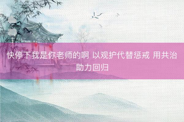 快停下我是你老师的啊 以观护代替惩戒 用共治助力回归