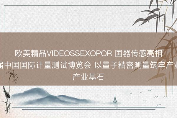 欧美精品VIDEOSSEXOPOR 国器传感亮相第八届中国国际计量测试博览会 以量子精密测量筑牢产业基石