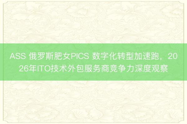 ASS 俄罗斯肥女PICS 数字化转型加速跑，2026年ITO技术外包服务商竞争力深度观察