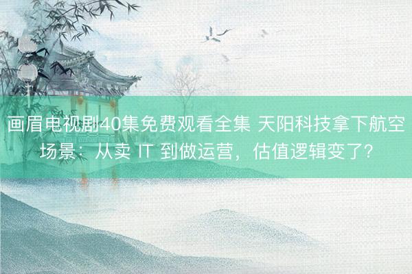 画眉电视剧40集免费观看全集 天阳科技拿下航空场景：从卖 IT 到做运营，估值逻辑变了？