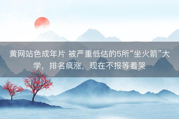 黄网站色成年片 被严重低估的5所“坐火箭”大学,排名疯涨,现在不报等着哭