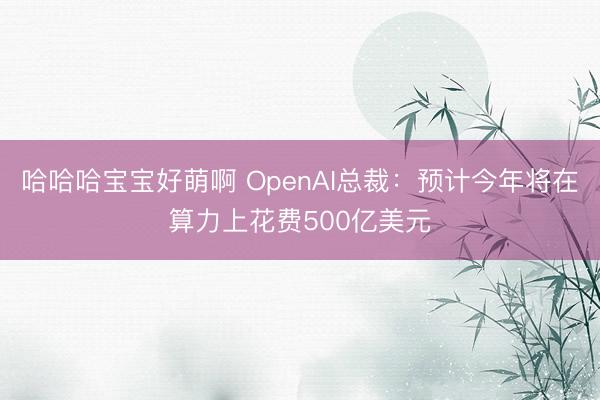 哈哈哈宝宝好萌啊 OpenAI总裁：预计今年将在算力上花费500亿美元