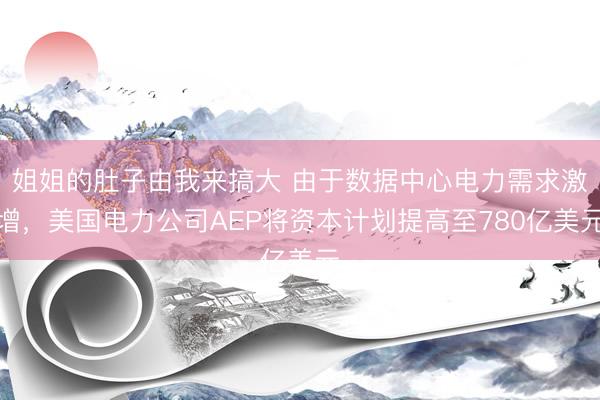 姐姐的肚子由我来搞大 由于数据中心电力需求激增，美国电力公司AEP将资本计划提高至780亿美元