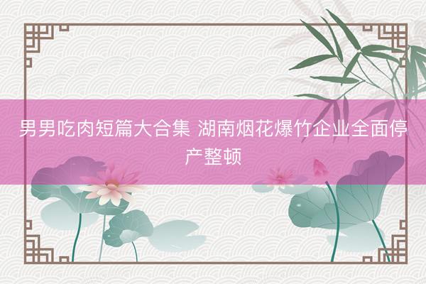 男男吃肉短篇大合集 湖南烟花爆竹企业全面停产整顿