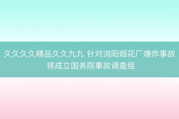 久久久久精品久久九九 针对浏阳烟花厂爆炸事故 将成立国务院事故调查组