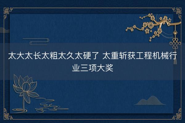 太大太长太粗太久太硬了 太重斩获工程机械行业三项大奖