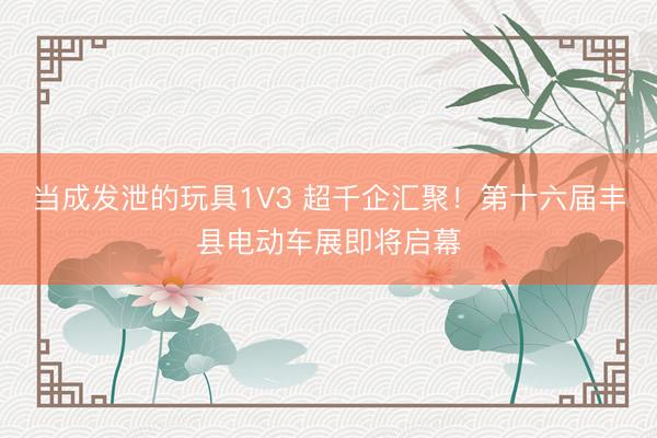 当成发泄的玩具1V3 超千企汇聚！第十六届丰县电动车展即将启幕
