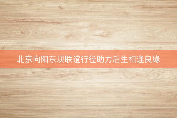 北京向阳东坝联谊行径助力后生相逢良缘