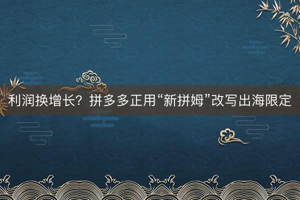 利润换增长？拼多多正用“新拼姆”改写出海限定