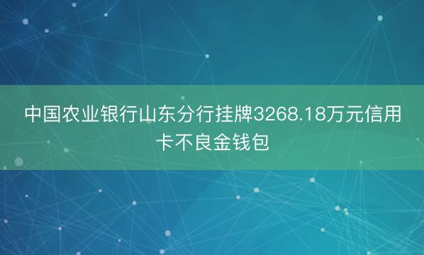 中国农业银行山东分行挂牌3268.18万元信用卡不良金钱包