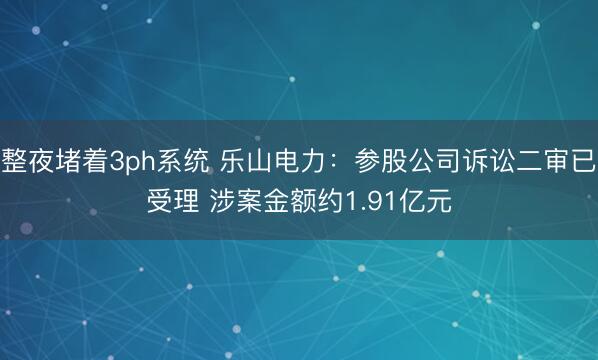整夜堵着3ph系统 乐山电力：参股公司诉讼二审已受理 涉案金额约1.91亿元