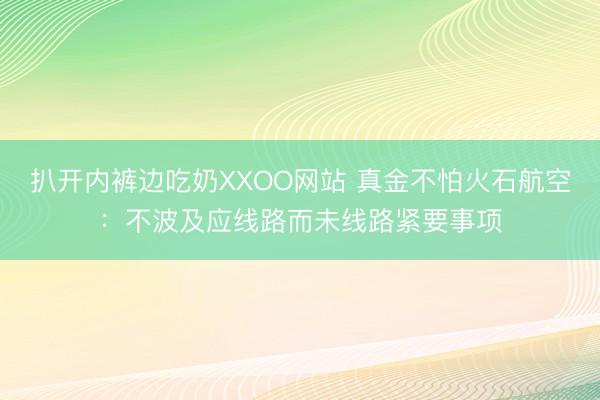 扒开内裤边吃奶XXOO网站 真金不怕火石航空：不波及应线路而未线路紧要事项