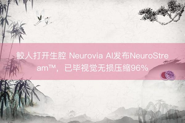 鲛人打开生腔 Neurovia AI发布NeuroStream™，已毕视觉无损压缩96%