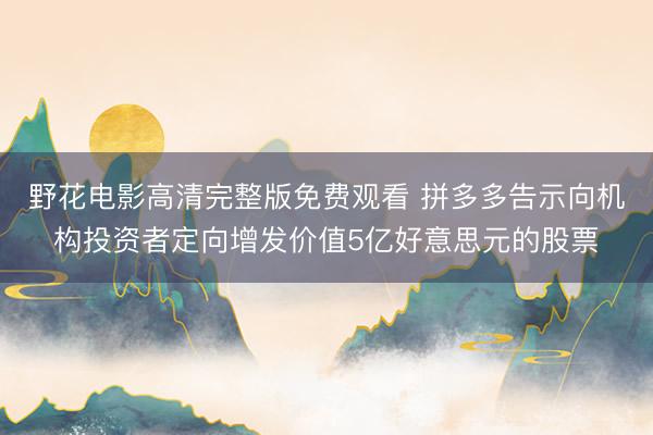 野花电影高清完整版免费观看 拼多多告示向机构投资者定向增发价值5亿好意思元的股票