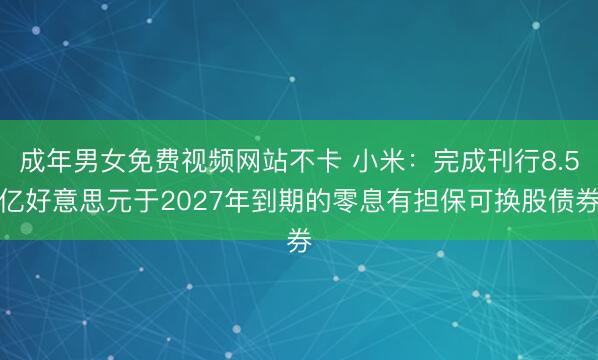 成年男女免费视频网站不卡 小米：完成刊行8.5亿好意思元于2027年到期的零息有担保可换股债券