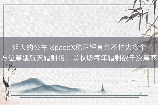 粗大的公车 SpaceX称正锤真金不怕火多个方位筹建航天辐射场，以收场每年辐射数千次筹商