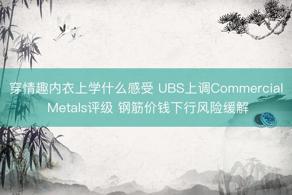 穿情趣内衣上学什么感受 UBS上调Commercial Metals评级 钢筋价钱下行风险缓解