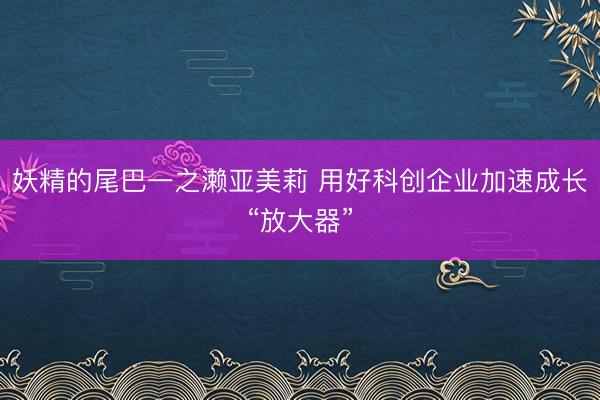 妖精的尾巴一之濑亚美莉 用好科创企业加速成长“放大器”