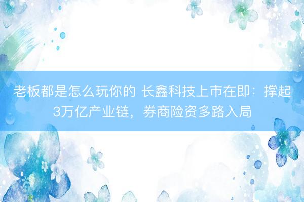 老板都是怎么玩你的 长鑫科技上市在即：撑起3万亿产业链，券商险资多路入局