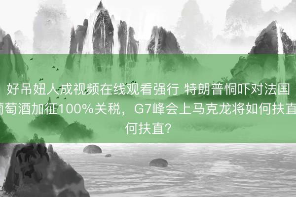 好吊妞人成视频在线观看强行 特朗普恫吓对法国葡萄酒加征100%关税，G7峰会上马克龙将如何扶直？