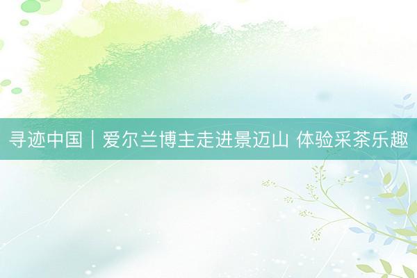 寻迹中国｜爱尔兰博主走进景迈山 体验采茶乐趣