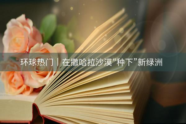 环球热门｜在撒哈拉沙漠“种下”新绿洲 