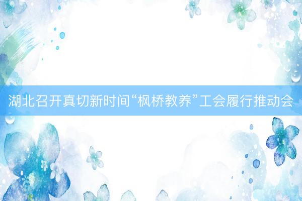 湖北召开真切新时间“枫桥教养”工会履行推动会