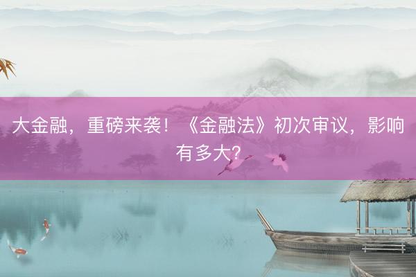 大金融，重磅来袭！《金融法》初次审议，影响有多大？
